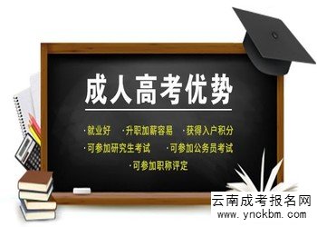 云南成考学习方式