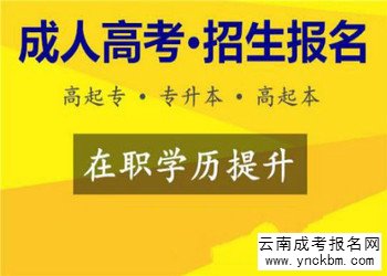云南成考考试科目(图1) 云南成考考试科目