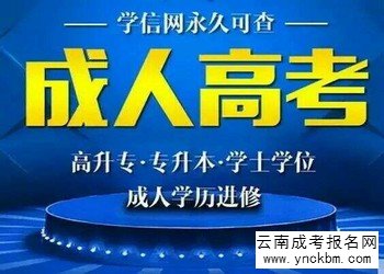 云南成考报名资料