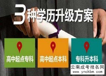 云南成考报名可以直接报本科吗